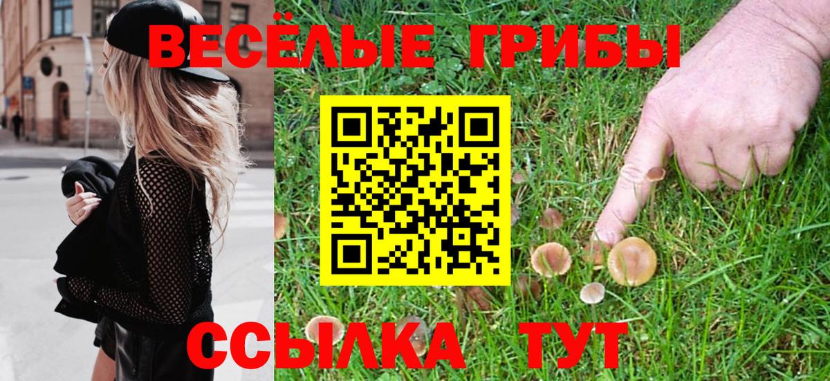 Псилоцибиновые грибы Psilocybine cubensis  Вход с VPN  Псилоцибиновые грибы GOLDEN TEACHER  Благодарный 